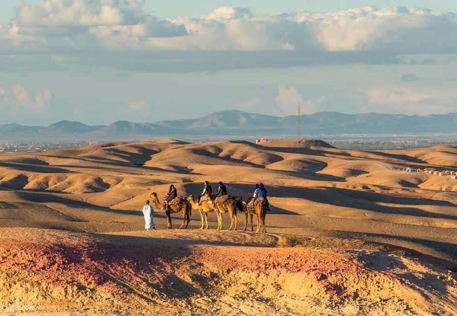 Marrakech: Agafay Desert Dinner Show with Quad Bike & Camel - Dinner Under Stars: Moroccan Food and the Berber Show
