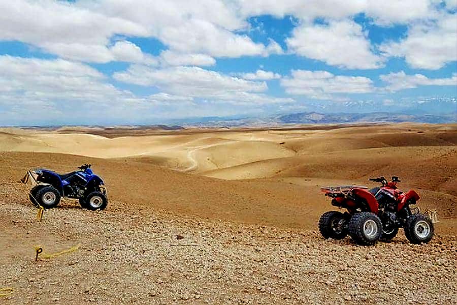Marrakech: Agafay Desert Dinner Show with Quad Bike & Camel - Timing, Comfort, and What to Pack for Agafay Night