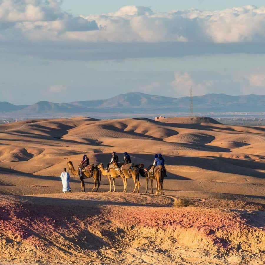 Marrakech: Agafay Desert Dinner Show with Sunset Camel Ride - Price and Value at $25 for a Full 5-Hour Night