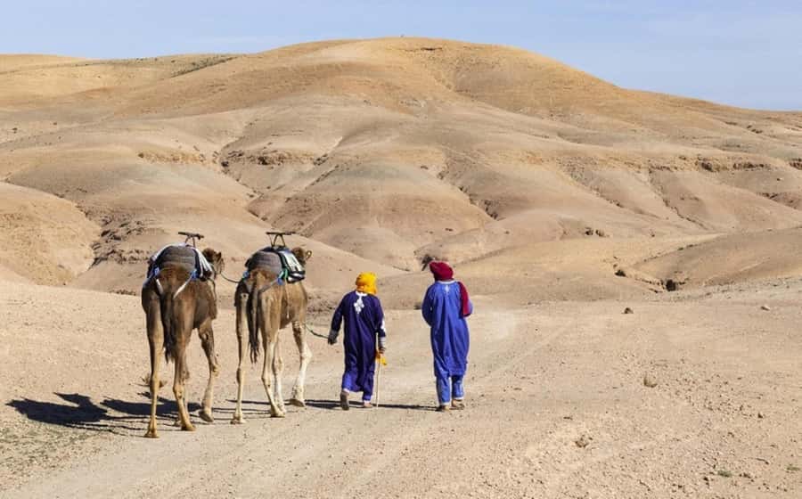 Marrakech: Agafay Desert, Lunch, Camel Ride, & Swimming Pool - Guides, Music, and the Small Service Details That Matter