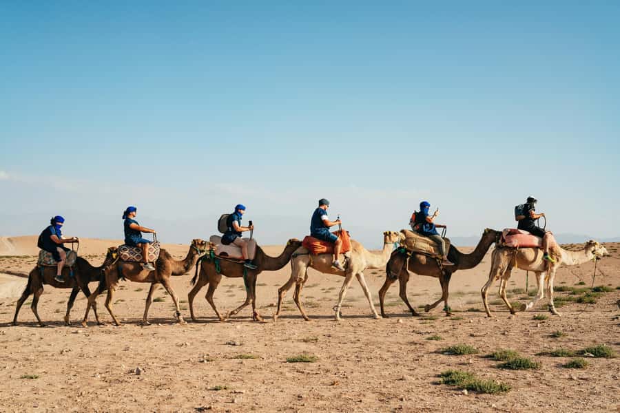 Marrakech: Agafay Desert Pool, Dinner & Live Show Experience - Who Should Book This Agafay Desert Pool Dinner Show