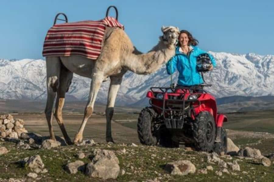 Marrakech: Agafay Desert Quad Biking with Dinner Show - Key Things That Make This Tour Work