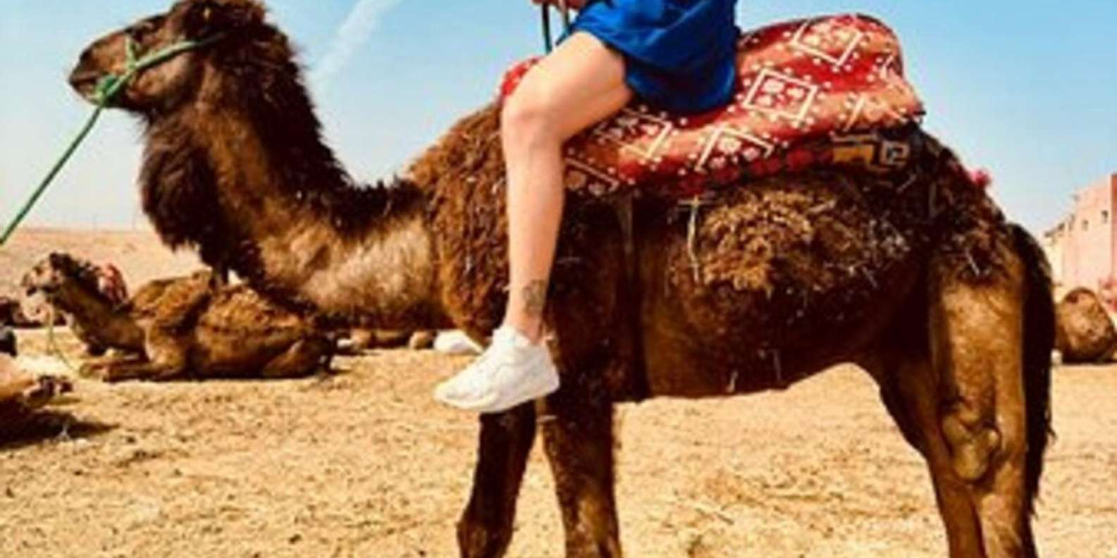 Marrakech: Agafay Desert Quad Biking with Dinner Show - Berber Dinner Under the Stars at Sous les étoiles Camp