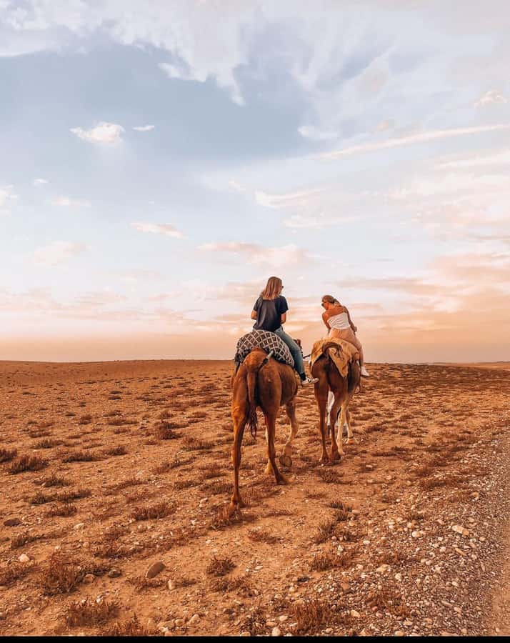 Marrakech: Agafay Desert Quad, Camel Ride & Dinner Show - The guide and pacing: why people keep naming their host