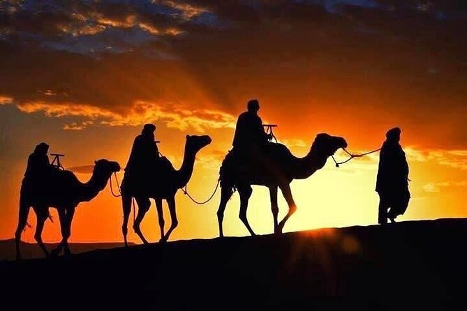 Marrakech: Agafay Desert Sunset, Camel Ride, and Dinner Show - Marrakesh to Agafay: setting your evening up right