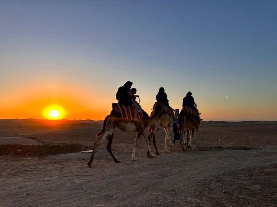 Marrakech: Agafay Desert Trip with Activities and Dinner - Should you book this Agafay Desert trip?