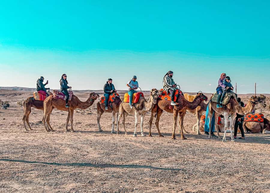 Marrakech: Agafay Dinner Show, Camel Ride, Quad, or Buggy - Should you book this Agafay Camp Darna experience?