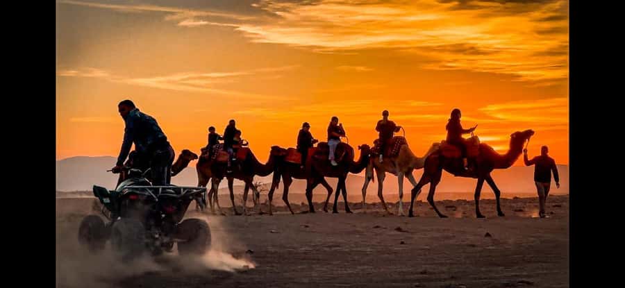 Marrakech: Agafay Dinner Show, Camel Ride, Quad, or Buggy - Group feel, guide attention, and why that matters