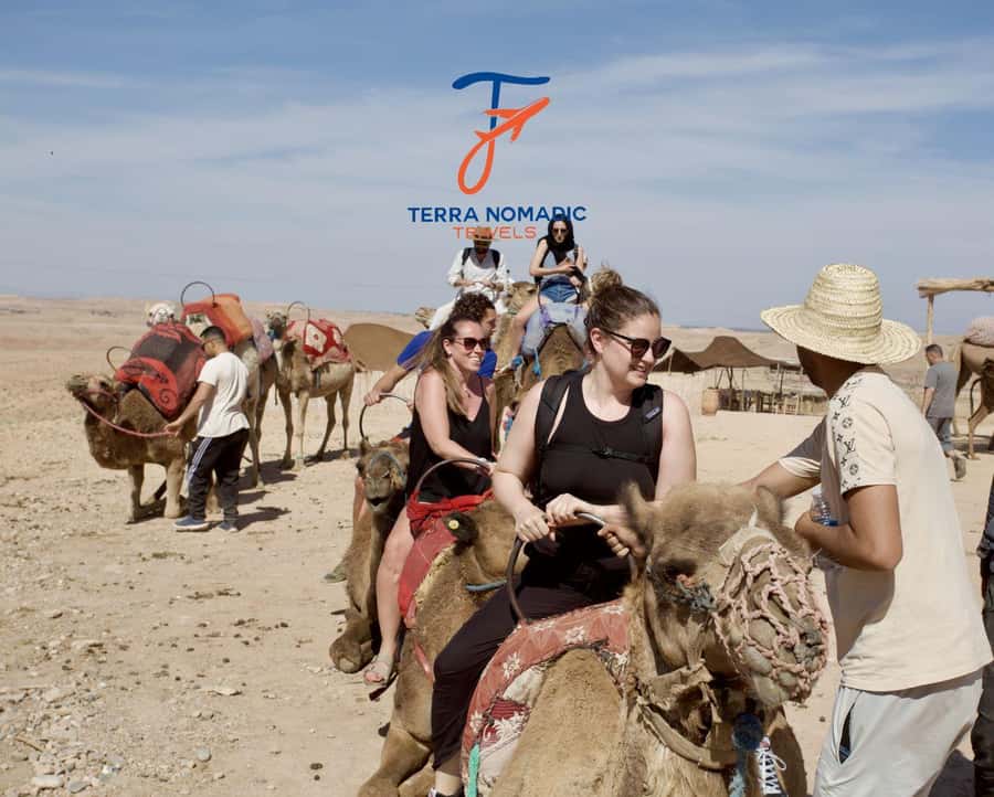 Marrakech: Agafay Dinner Show with Quad/Camel Ride and Pool - Moroccan Dinner Under the Stars: What’s Really Included