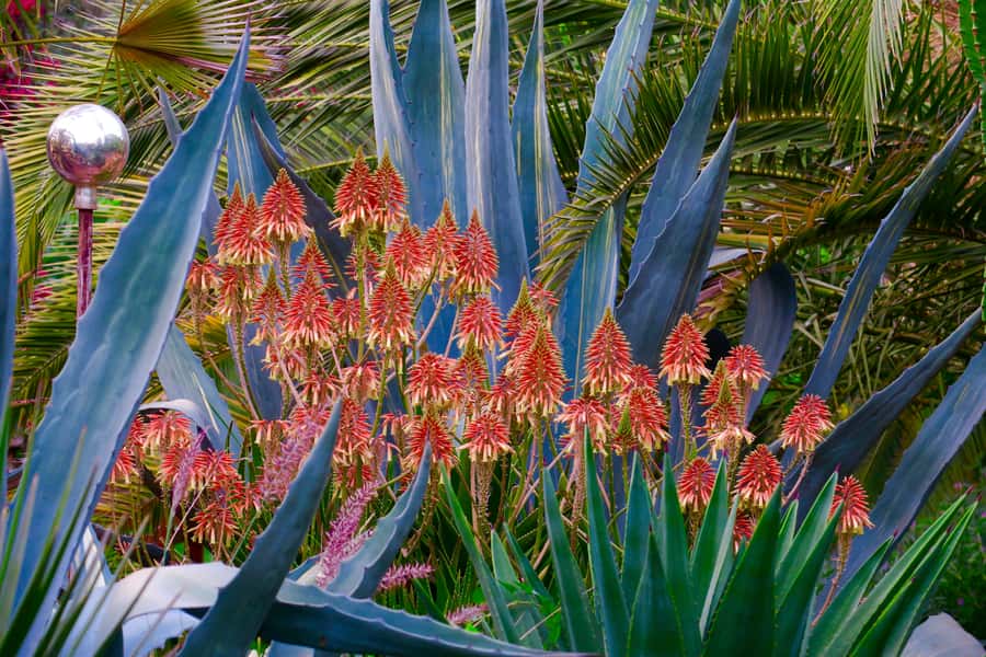 Marrakech: André Heller's ANIMA Garden Ticket - Arriving and orienting yourself: how to start the garden walk