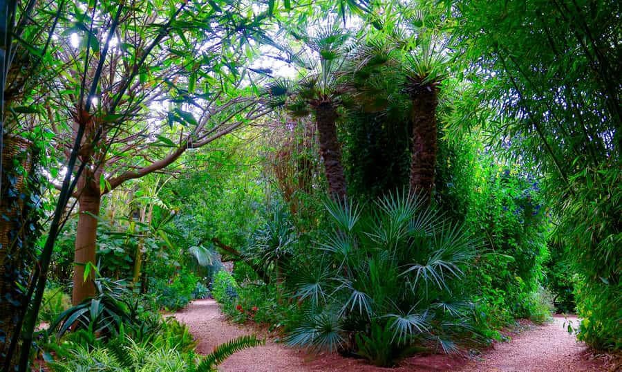 Marrakech: André Heller's ANIMA Garden Ticket - Art trail through Picasso, Haring, and Rodin-style sculpture