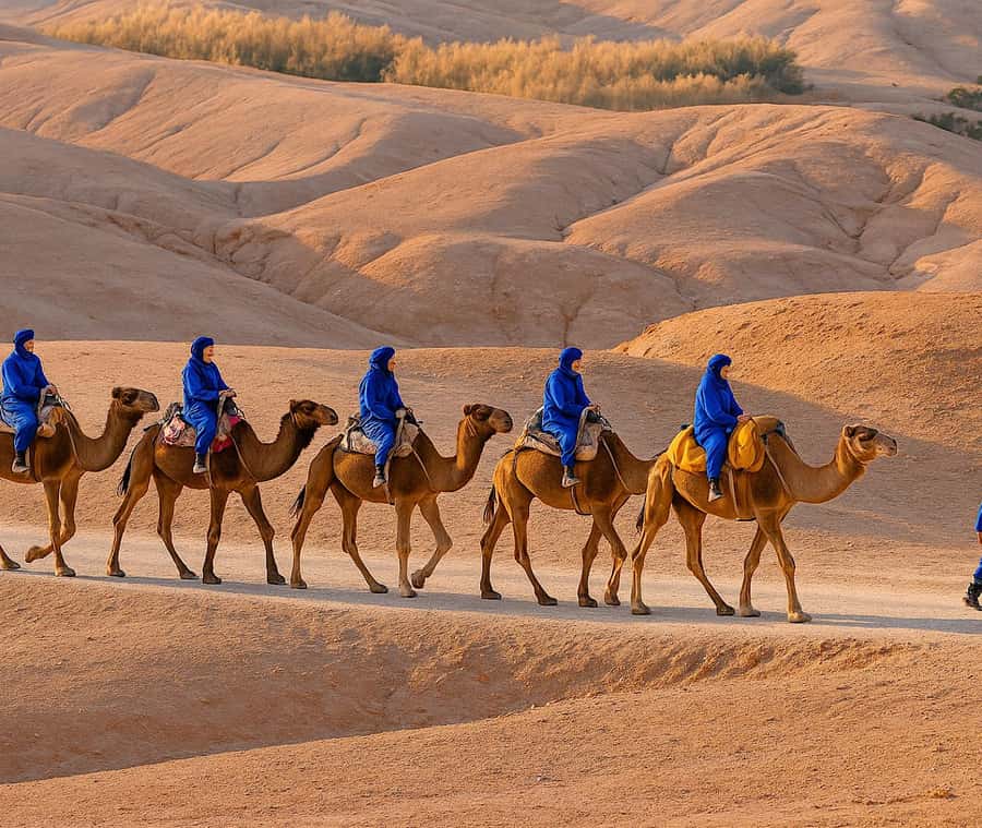 Marrakech: Atlas Mountains & Agafay Desert Tour w Camel Ride - Imlil valley welcome: mint tea and a village-first pace