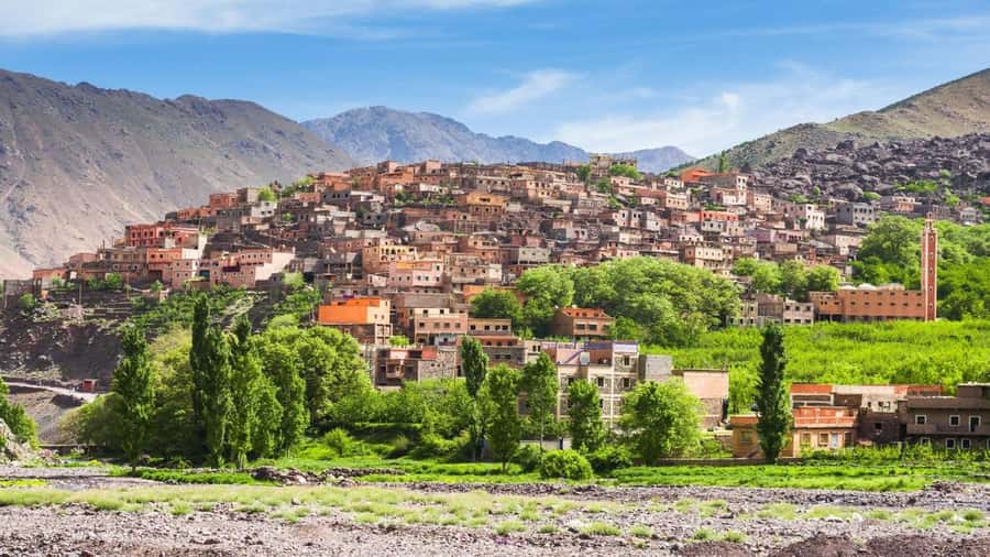 Marrakech: Atlas Mountains, Camel Ride, Waterfalls, & Lunch - The Berber-style breakfast spread (mint tea, oils, honey, amlou)