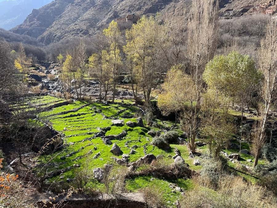 Marrakech: Atlas Mountains, Camel Ride, Waterfalls, & Lunch - The market stop and the Saturday bonus