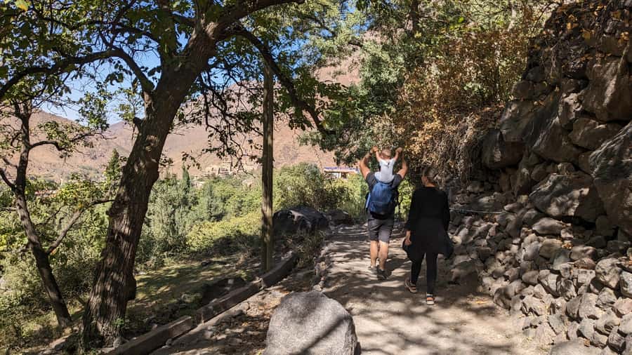 Marrakech: Atlas Mountains, Camel Ride, Waterfalls, & Lunch - Who runs the day: guides and drivers that make the difference