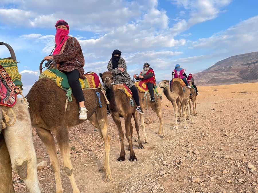 Marrakech: Atlas Mountains, Camel Ride, Waterfalls, & Lunch - Lala Takerkoust camel ride and the argan oil cooperative morning