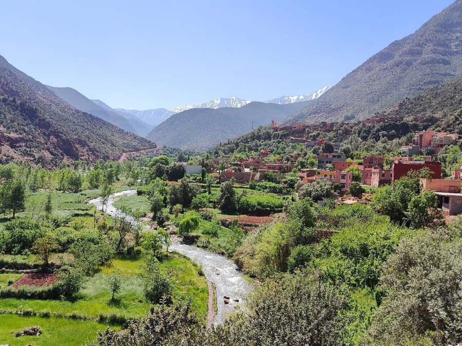 Marrakech: Atlas Mountains, Ourika Valley, Waterfall & Lunch - Who this day trip suits best (and how to decide fast)