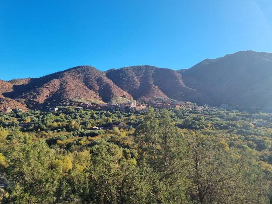 Marrakech: Atlas Mountains, Ourika Valley, Waterfall & Lunch - The waterfall hike to Setti Fadma: what moderate fitness really means