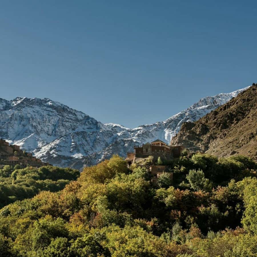 Marrakech: Atlas Mountains & Valleys Waterfall Hike w/ Lunch - Price and Value: How $18 Adds Up for a Full Mountain Day