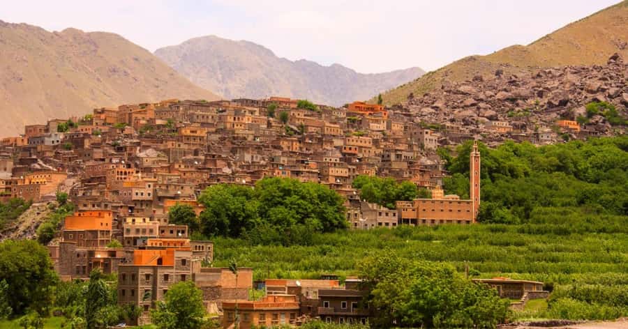 Marrakech: Atlas Mountains & Valleys Waterfall Hike w/ Lunch - Guide Quality: Why Names Like Omar and Mustapha Keep Showing Up
