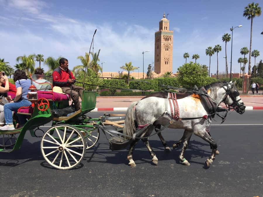 Marrakech: Bahia Palace, Saadian Tombs, & Koutoubia Mosque - Saadian Tombs: Hispano-Moorish Tilework and the Reality of Lines
