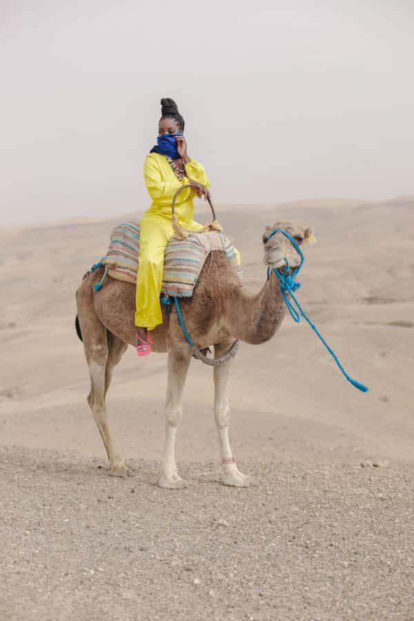 Marrakech: Camel & Quad Bike Tour with Sunset, Dinner & Show - Key moments that make this tour click
