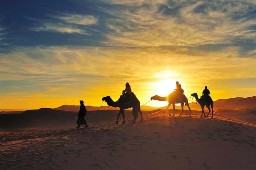 Marrakech: Camel & Quad Bike Tour with Sunset, Dinner & Show - Argan oil cooperative + Moroccan tea: a culture stop that isn’t filler