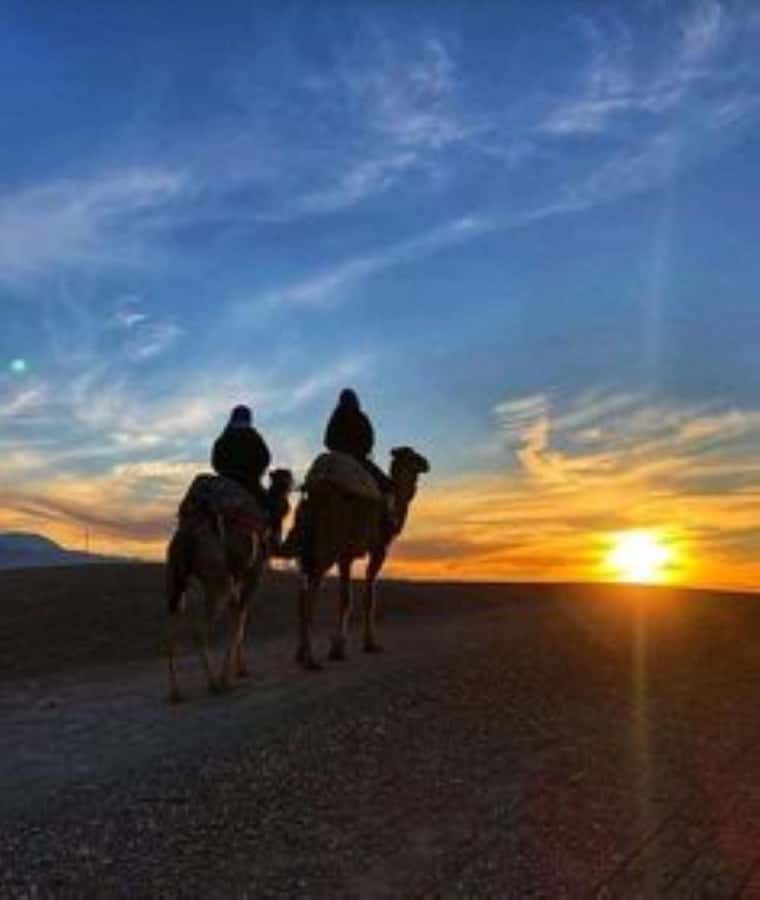 Marrakech: Camel & Quad Bike Tour with Sunset, Dinner & Show - The quad bike ride: thrilling, but built around guidance and timing