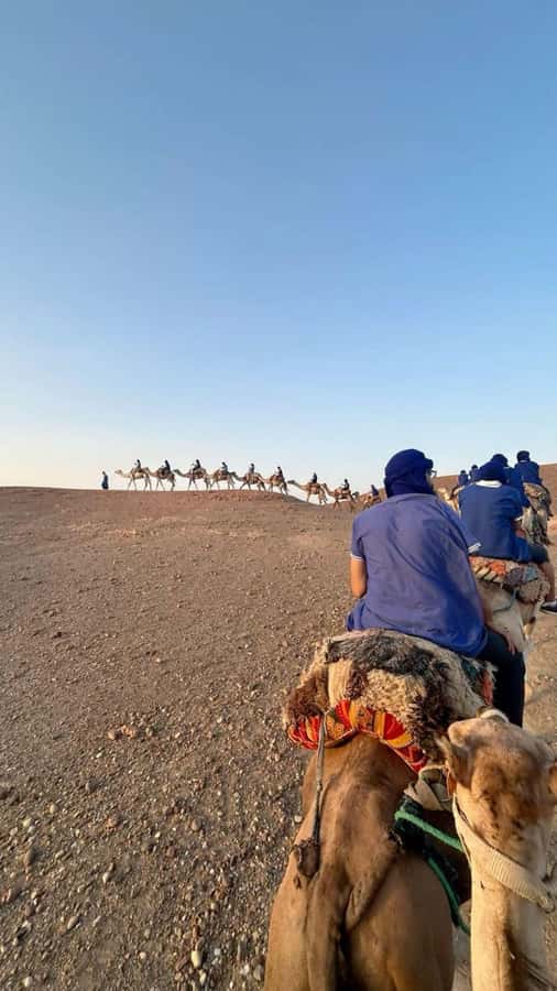 Marrakech: Camel & Quad Bike Tour with Sunset, Dinner & Show - Who should book this tour (and who should skip it)