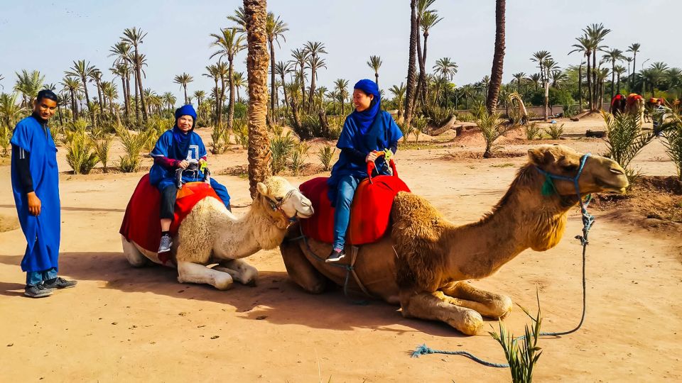 Marrakech: Camel Ride in the Oasis Palmeraie - Who this camel ride suits best (and who should skip it)