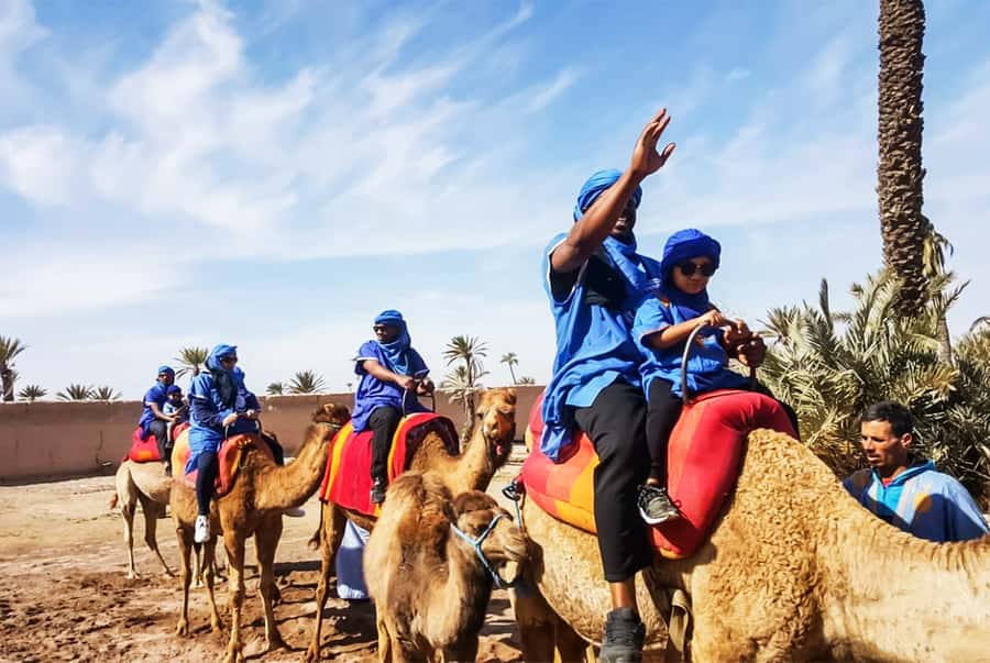 Marrakech: Camel Ride in the Oasis Palmeraie - Mint tea in a nomadic area: hospitality you can feel