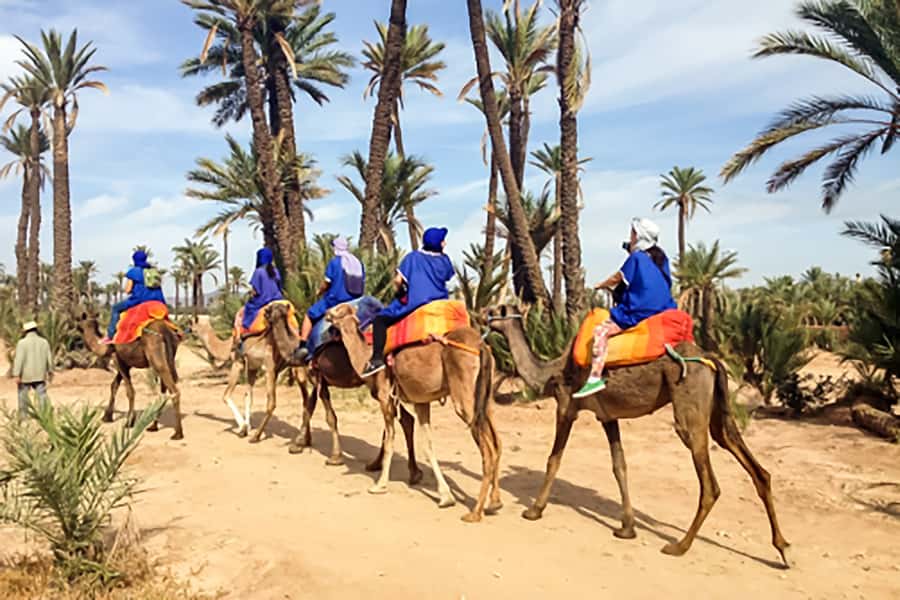 Marrakech: Camel Ride in the Oasis Palmeraie - Photos, palm-leaf crafts, and the role of guides