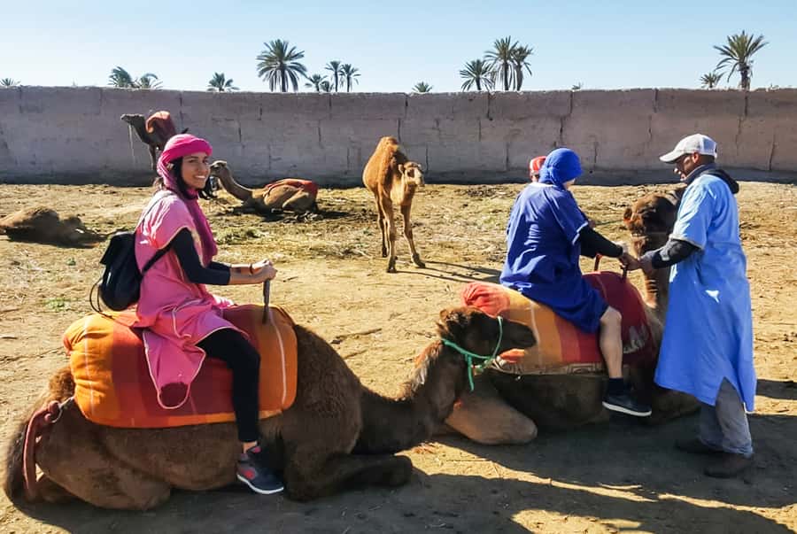 Marrakech: Camel Ride in the Oasis Palmeraie - The Hassan II mosque mention: how to interpret it
