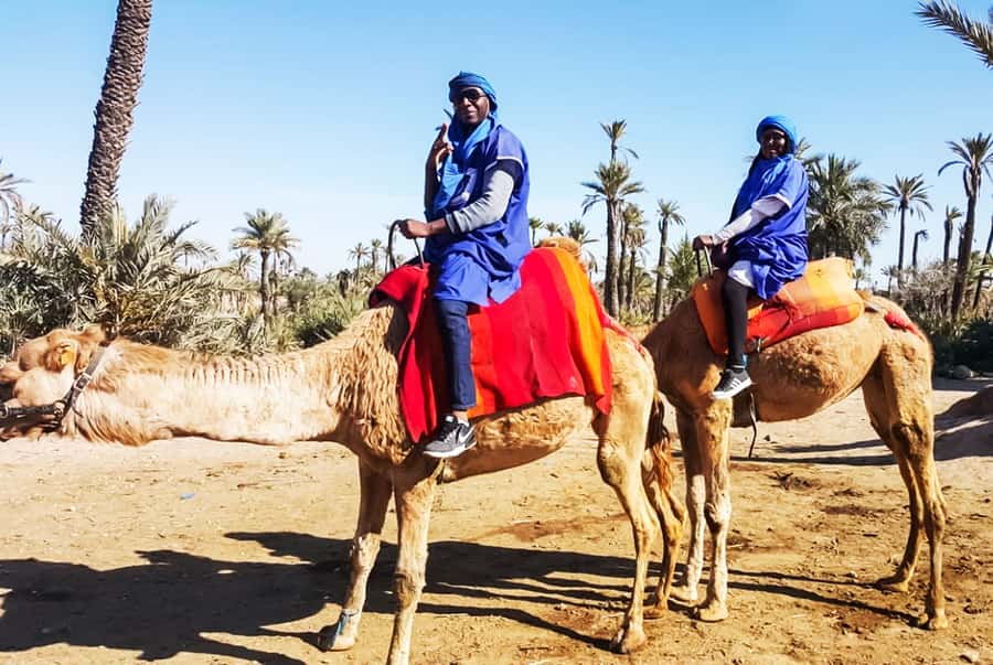Marrakech: Camel Ride in the Oasis Palmeraie - Price and value for $26: what you’re really paying for