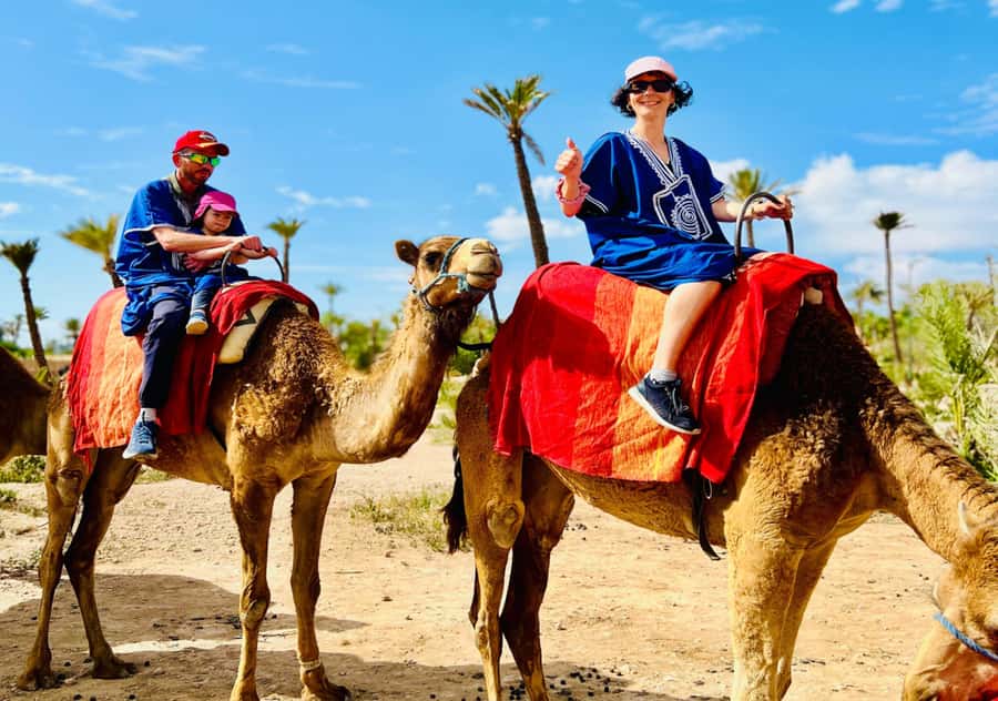 Marrakech: Camel Ride in the Oasis Palmeraie - Palm groves on camelback: what the ride is really like