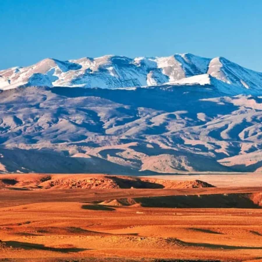 Marrakech: Camel Ride & Sunset Dinner with Fire Show - Berber Music, Dance, and the Campfire Fire Show