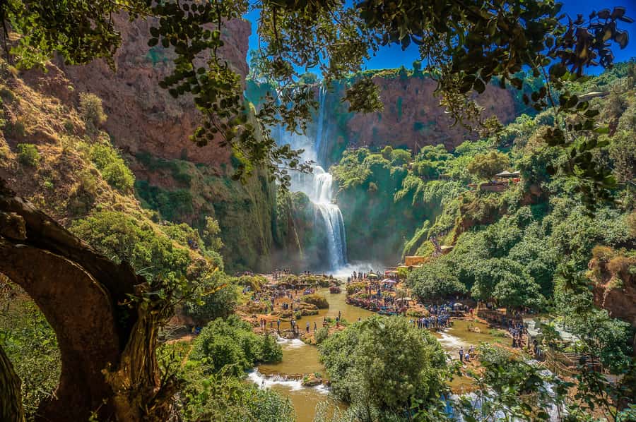 Marrakech: Day Tour to Ouzoud Waterfalls with Boat Trip - Price and value: why $17 can still make sense