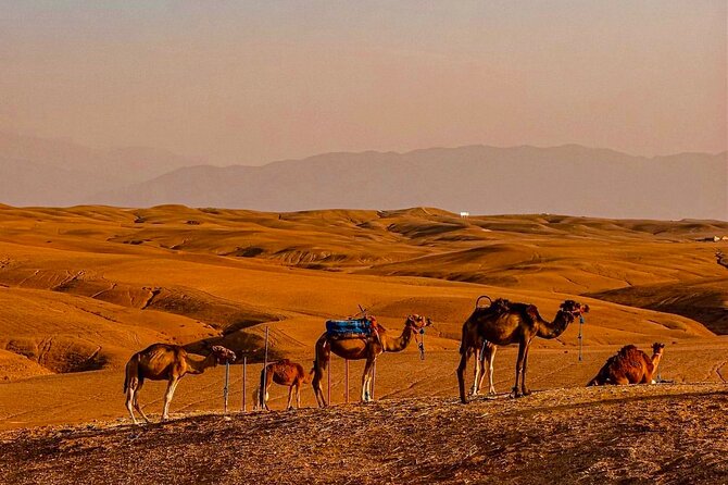 Marrakech Day Trip: Agafay Desert, Atlas Mountains and Camel Ride - The Berber Village and Armed Area: Tea, Views, and Village Life
