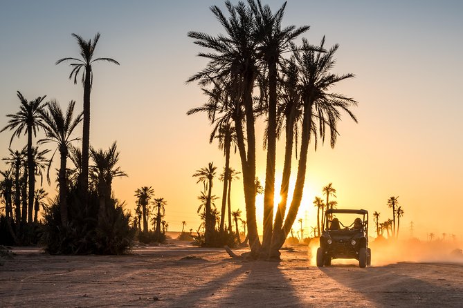 Marrakech Desert Buggy Tour Including Berber Tea Break and transfer - Key Points at a Glance