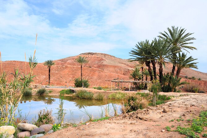 Marrakech Desert Buggy Tour Including Berber Tea Break and transfer - From Safety Briefing to Motor-Ready: Gear and Pacing That Matter