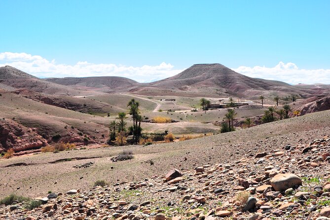 Marrakech Desert Buggy Tour Including Berber Tea Break and transfer - The Berber Tea Break: Pancakes, Mint Tea, and Realistic Expectations
