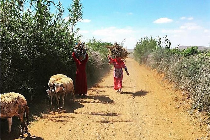 Marrakech Desert Buggy Tour Including Berber Tea Break and transfer - Practical Tips: Wear This, Skip That, and Ride Smarter