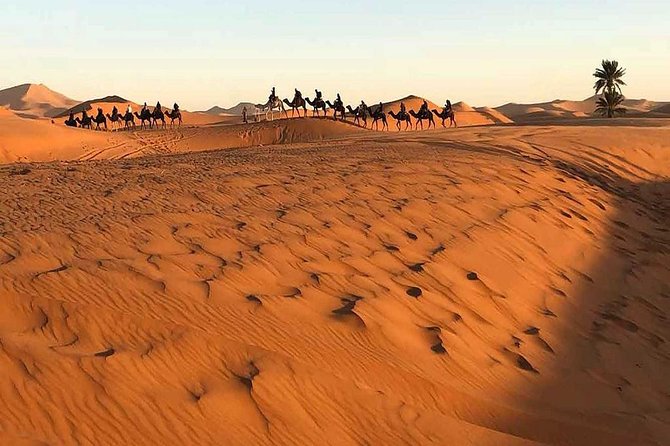 Marrakech Desert: Camel Ride, Quad Biking & Dinner Show Options - What the dinner actually feels like in the desert