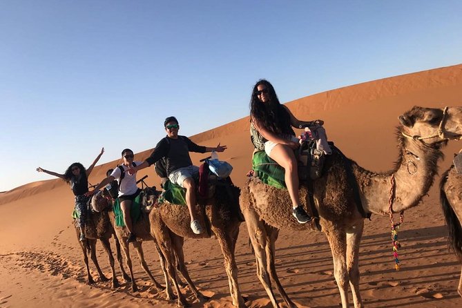 Marrakech Desert: Camel Ride, Quad Biking & Dinner Show Options - Comfort and group size: how the logistics affect your mood