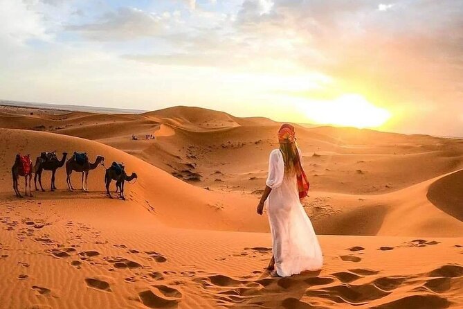 Marrakech Desert: Camel Ride, Quad Biking & Dinner Show Options - Should you book it or skip it?