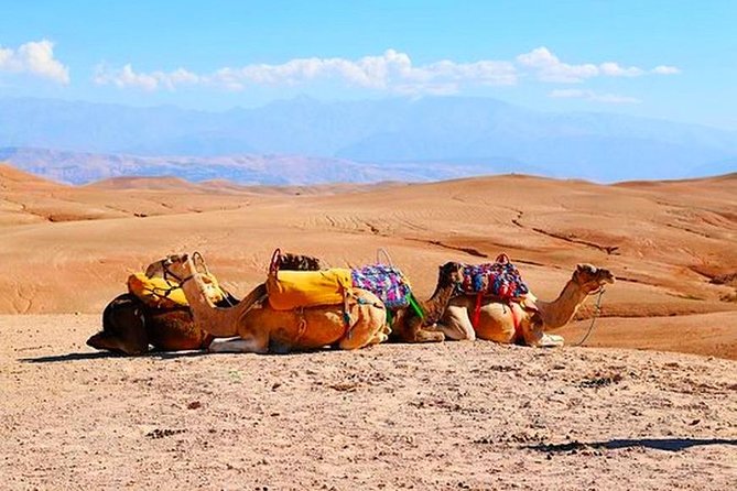 Marrakech Desert Quad and Camel ride, Lunch, and Poolside - Tips that make the day smoother in real life