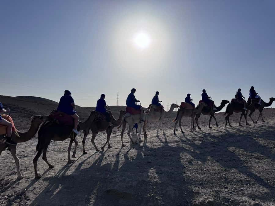 Marrakech: Desert Quad Bike Tour with Tea & Optional Dinner - Sunny Desert Camp Evening: Dinner, Music, and Fire Performance
