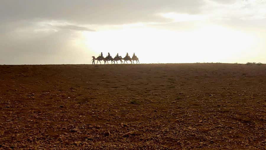 Marrakech: Desert Quad Bike Tour with Tea & Optional Dinner - Price and Value: Does $45 Make Sense in Marrakech?