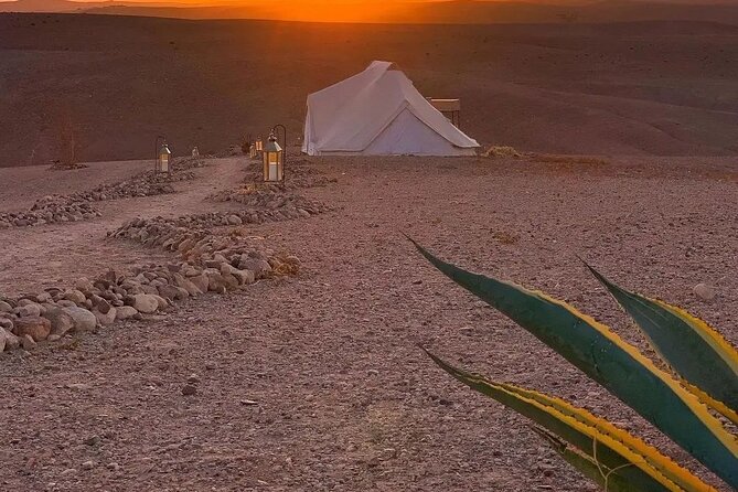 Marrakech Desert Tour & Sunset Camel Ride with Dinner Show - Argan oil cooperative: a quick cultural stop with useful context