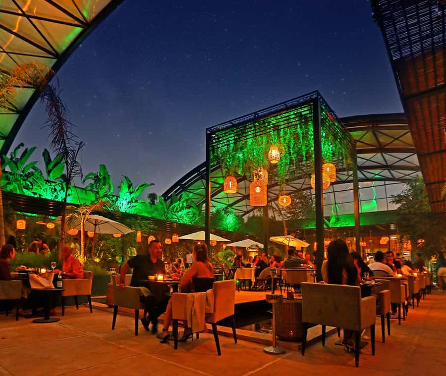 Marrakech : Dinner Show at Nouba Restaurant - The 3-Course Set Menu: Moroccan Classics With a Fusion Twist